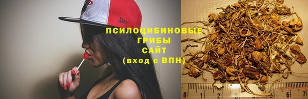 стафф Бронницы