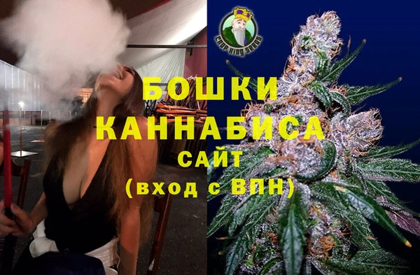 мет Бородино