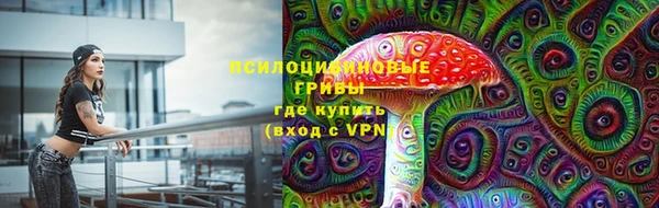 мет Бородино