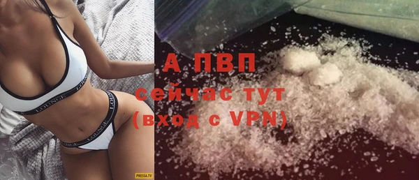 стафф Бронницы