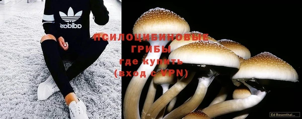 стафф Бронницы