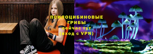 гидропоника Бугульма