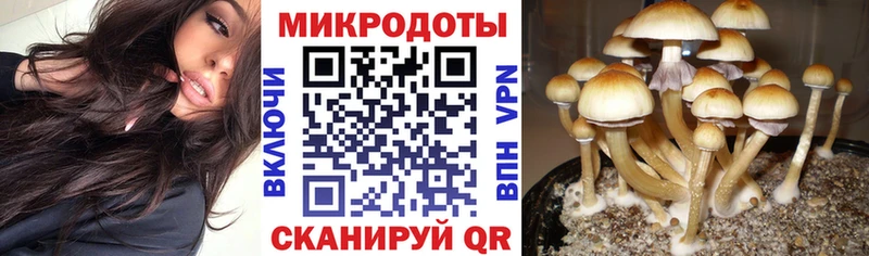 Псилоцибиновые грибы мухоморы  Купить закладки  Наволоки 